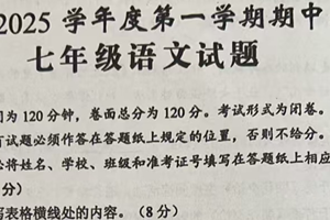 江苏省盐城市建湖县2024-2025学年七年级上学期11月期中考试语文试题（含答案）