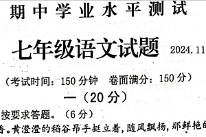 江苏省淮安市金湖县2024-2025学年七年级上学期11月期中语文试题（含答案）