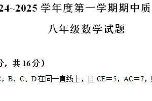 江苏省常州市市北实验初级中学2024-2025学年上学期期中质量调研八年级数学试题（含解析）