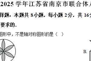 江苏省南京市联合体2024-2025学年八年级上学期期中数学练习试卷（含解析）