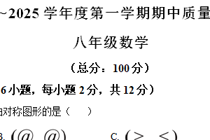 江苏省南京市玄武区 2024-2025学年八年级数学上学期期中质量调研试题（含解析）