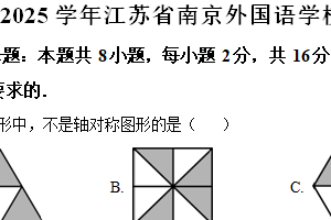 江苏省南京外国语学校2024-2025学年八年级上学期期中考试数学试卷（含解析）