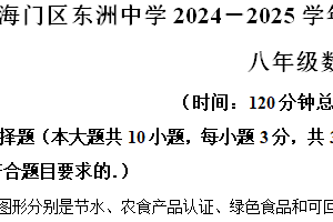 江苏省南通市东洲中学2024—2025学年上学期八年级数学期中试卷（含解析）