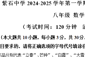 江苏省南通市海安紫石中学2024-2025学年上学期八年级数学期中考试试卷（含解析）
