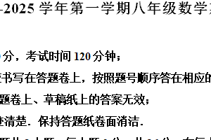 江苏省苏州市苏州工业园区青剑湖实验中学2024-2025学年八年级上学期11月期中考试数学试题（含解析）