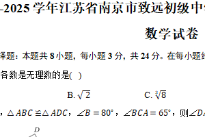 2024-2025学年江苏省南京市致远初级中学期中质量监测八年级（上）数学试卷（含答案）