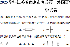 江苏省南京市育英第二外国语学校2024-2025学年八年级上学期期中数学试卷(含答案)