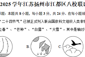 江苏省扬州市江都区八校联谊2024-2025学年八年级（上）数学期中试卷（含答案）