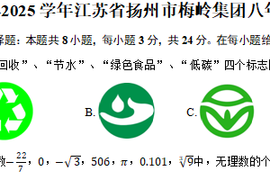 江苏省扬州市梅岭集团2024-2025学年八年级（上）11月期中数学试卷（含答案）