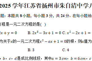 江苏省扬州市朱自清中学2024-2025学年八年级（上）11月期中数学试（含答案）