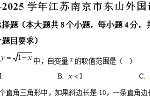 江苏省南京市东山外国语学校2024-2025学年九年级上学期数学期中测试卷（含解析）
