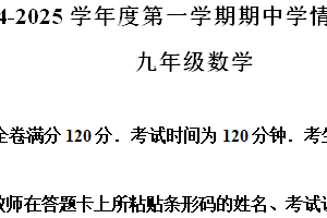 江苏省南京市联合体2024—-2025学年上学期九年级期中数学试题（含解析）