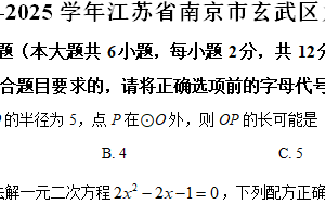 江苏省南京市玄武区2024-2025学年九年级上学期期中数学试卷（含解析）