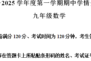 江苏省南京市雨花台区等5地2024-2025学年九年级上学期11月期中数学试题（含解析）