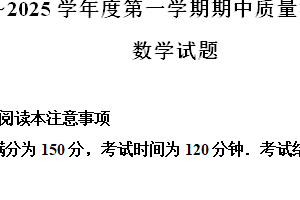 江苏省南通市启东市2024-2025学年九年级上学期11月期中考试数学试题（含解析）