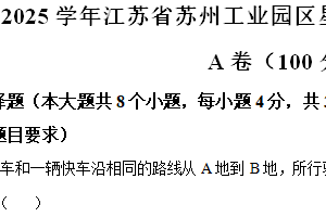 江苏省苏州工业园区星湖学校2024-2025学年九年级上学期数学期中测试卷（含解析）