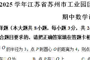 江苏省苏州市工业园区青剑湖实验中学2024-2025学年九年级上学期期中数学试卷（含解析）