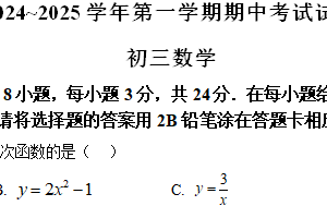 江苏省苏州市立达中学2024-2025学年上学期九年级数学期中考试题（含解析）