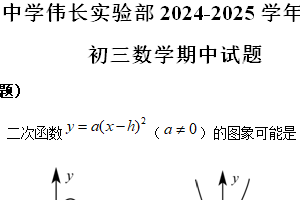 江苏省苏州中学伟长实验部2024-2025学年上学期九年级数学期中试题（含解析）