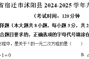 江苏省宿迁市沭阳县2024-2025学年九年级上学期11月期中数学试题（含解析）