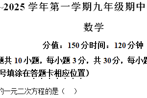 江苏省宿迁市泗阳县2024-2025学年九年级上学期11月期中数学试题（含解析）