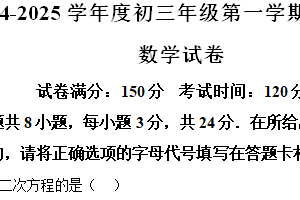 江苏省宿迁市宿城区2024-2025学年九年级上学期11月期中考试数学试题（含解析）