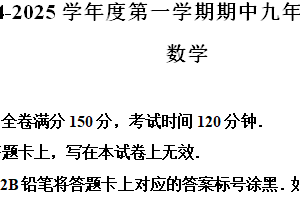 江苏省宿迁市宿豫区2024-2025学年九年级上学期11月期中考试数学试题（含解析）