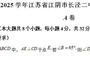 江苏省无锡市江阴市长泾第二中学2024-2025学年上学期九年级数学期中测试卷（含解析）