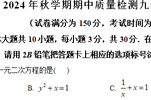 江苏省无锡市新吴区2024-2025学年九年级上学期期中数学试题（含解析）
