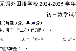 江苏省无锡外国语学校2024一2025学年上学期期中考试九年级数学试卷（含解析）