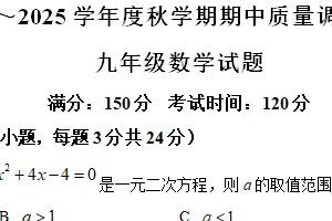 江苏省盐城市东台市第五教育联盟2024-2025学年九年级上学期期中考试数学试题（含解析）
