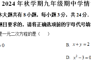 江苏省盐城市阜宁县2024—2025学年九年级上学期11月期中数学试题（含解析）
