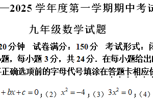 江苏省盐城市建湖县2024-2025学年九年级上学期11月期中考试数学试题（含解析）