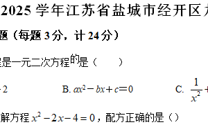 江苏省盐城市经开区2024-2025学年九年级上学期期中数学试卷（含解析）