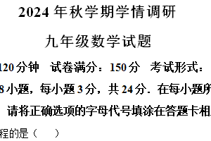 江苏省盐城市亭湖新区2024—2025学年上学期九年级期中考试数学试题（含解析）