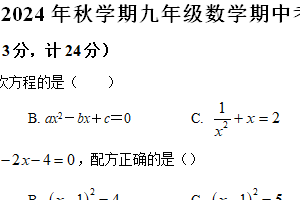 江苏省盐城市盐城经济技术开发区2024-2025学年九年级上学期11月期中考试数学试题（含解析）