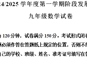 江苏省盐城市盐都区第一共同体2024-2025学年九年级上学期11月期中数学试题（含解析）