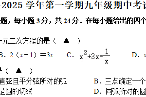 江苏省扬州市邗江区实验学校2024-2025学年九年级上学期期中考试数学试卷（含答案）