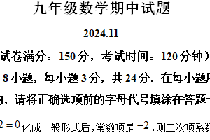 江苏省扬州市江都区第三中学2024-2025学年上学期九年级数学期中试卷（含解析）
