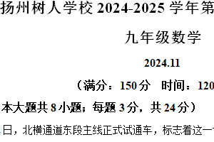 江苏省扬州市树人中学2024-2025学年九年级上学期数学期中考试卷（含解析）