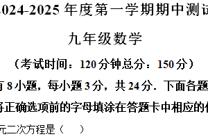 江苏省扬州市仪征市2024-2025学年九年级上学期11月期中数学试题（含解析）