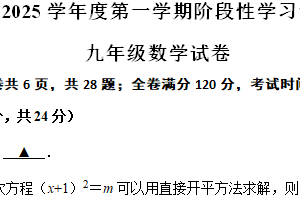江苏省镇江市京口区京口中学、镇江市第十中学2024-2025学年九年级上学期11月期中联考数学试题（含答案）