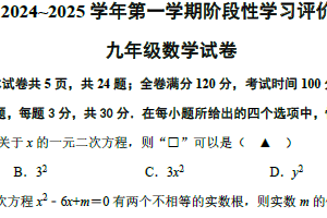 江苏省镇江市镇江新区2024-2025学年九年级上学期11月期中考试数学试题（含答案）