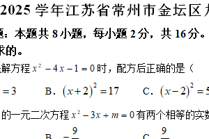 江苏省常州市金坛区2024-2025学年九年级上学期期中考试数学试卷（含解析）