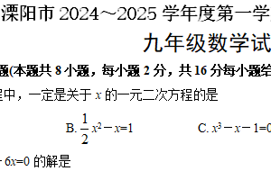 江苏省常州市溧阳市2024-2025学年九年级上学期11月期中数学试题（含答案）