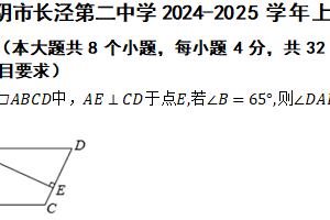 江苏省江阴市长泾第二中学2024-2025学年上学期九年级数学期中测试卷（含答案）