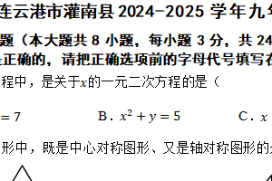 江苏省连云港市灌南县2024-2025学年九年级上学期11月期中数学试题（含答案）