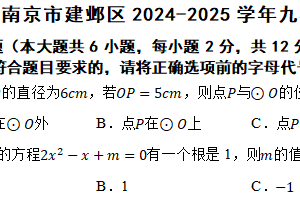 江苏省南京市建邺区2024-2025学年九年级上学期期中考试数学题（含答案）