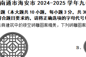 江苏省南通市海安市2024-2025学年九年级上学期11月期中数学试题（含答案）