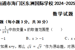 江苏省南通市海门区东洲国际学校2024-2025学年九年级上学期11月期中考试数学试题（含答案）